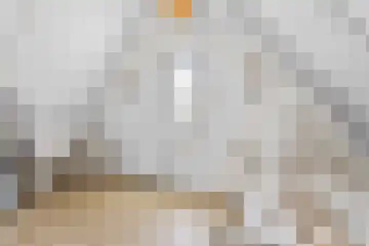 Graafsebaan 41 Heesch thumbnail 45