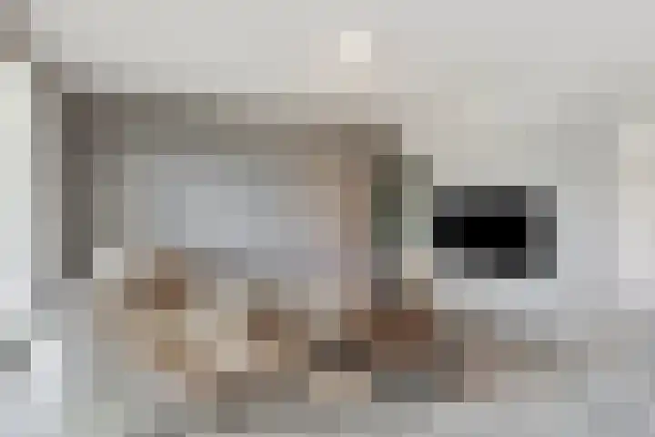 Graafsebaan 41 Heesch thumbnail 8