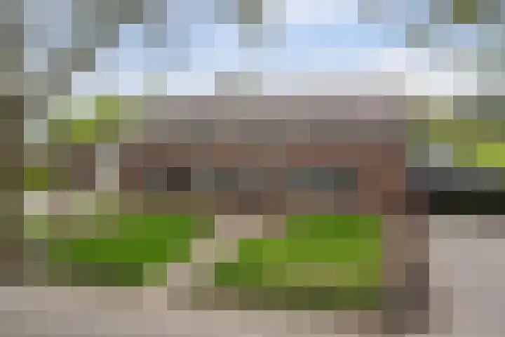 Graafsedijk 14 in Vianen NB