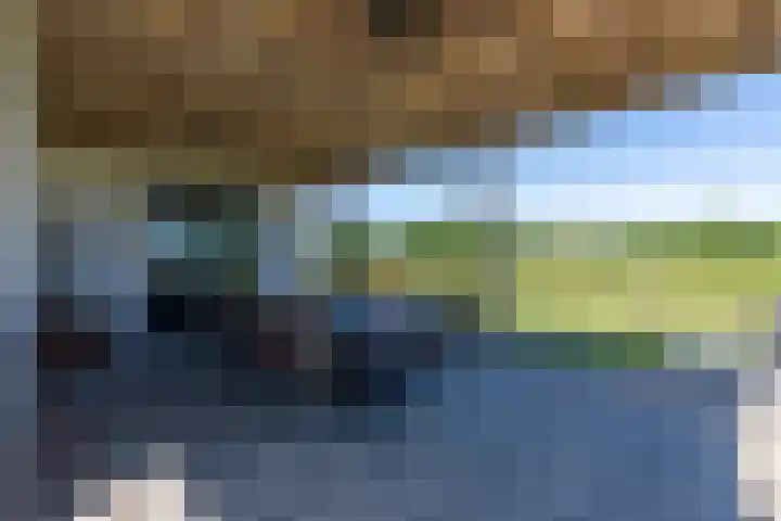 Graafsedijk 29 Beugen thumbnail 12