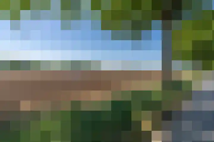 Graafsedijk 29 Beugen thumbnail 29