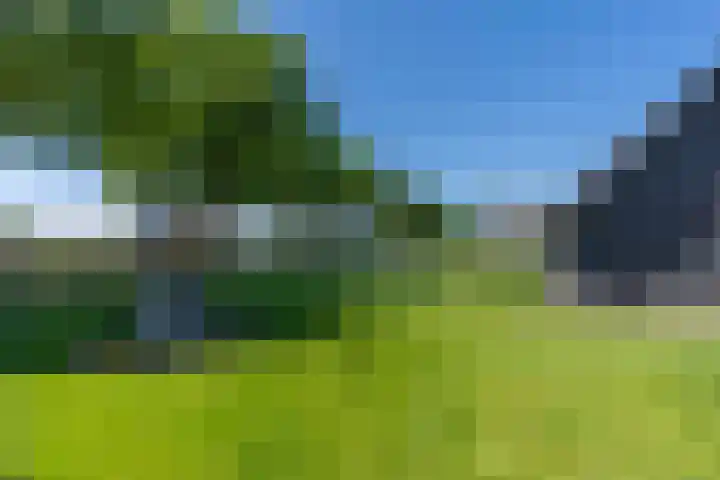 Graafsedijk 29 Beugen thumbnail 32