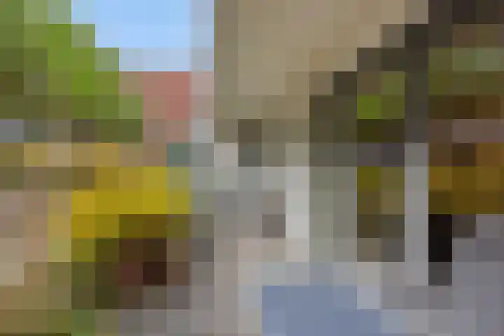 Graafseweg 6 D 's-Hertogenbosch thumbnail 9