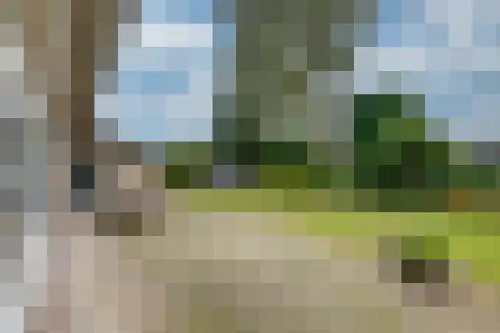 Graafseweg 668 Wijchen thumbnail 15