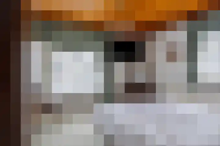 Graafseweg 668 Wijchen thumbnail 17