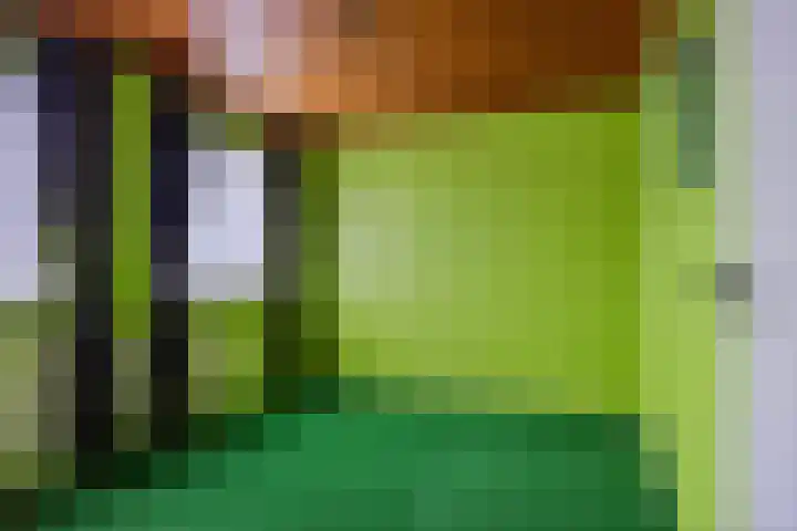 Graafseweg 668 Wijchen thumbnail 21