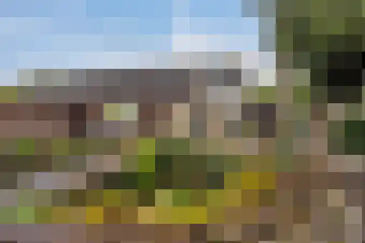 Graafseweg 668 Wijchen thumbnail 26
