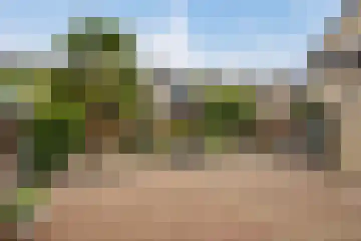 Graafseweg 668 Wijchen thumbnail 30