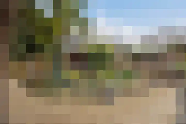 Graafseweg 668 Wijchen thumbnail 31