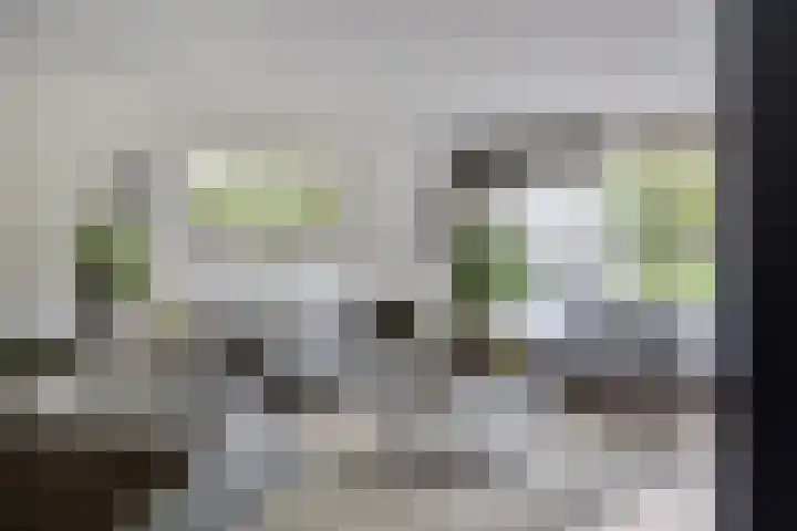 Graafseweg 668 Wijchen thumbnail 6