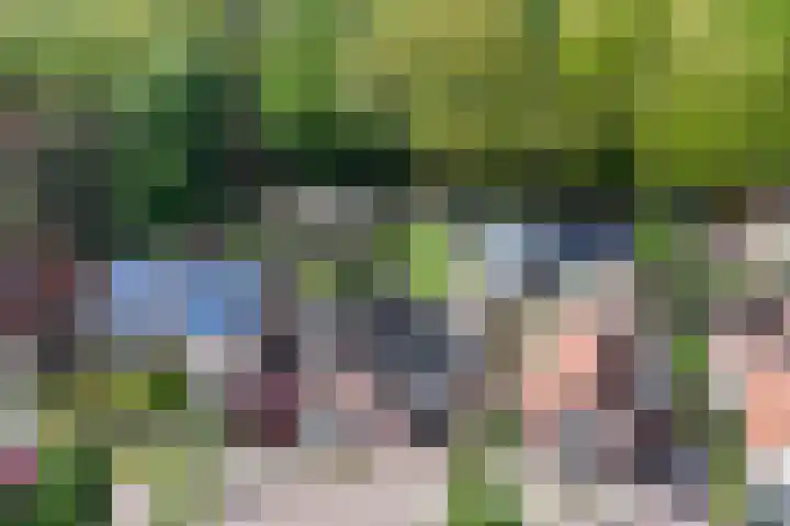 Graafseweg 687 Wijchen thumbnail 5