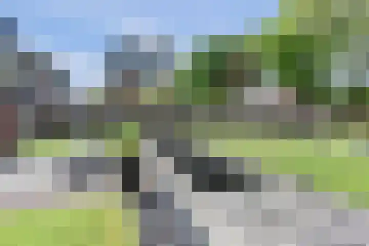 Graafseweg 687 Wijchen thumbnail 55