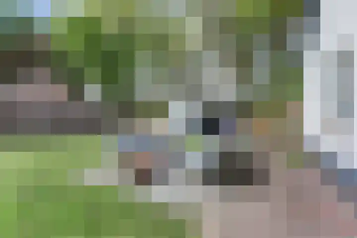 Graafseweg 687 Wijchen thumbnail 58
