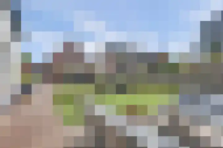 Graafseweg 687 Wijchen thumbnail 59