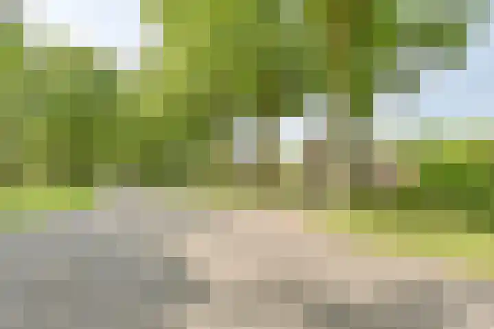 Graafseweg 687 Wijchen thumbnail 6