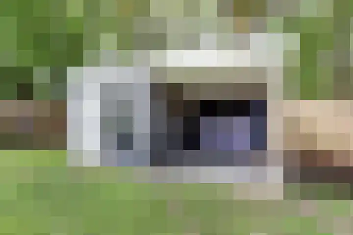 Graafseweg 687 Wijchen thumbnail 60