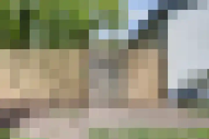 Graafseweg 687 Wijchen thumbnail 64