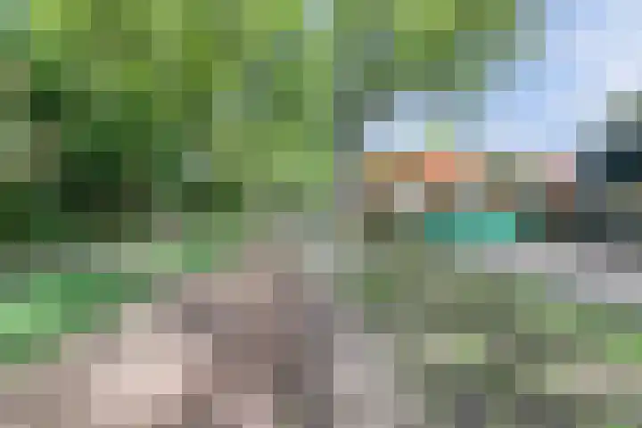 Graafseweg 687 Wijchen thumbnail 67