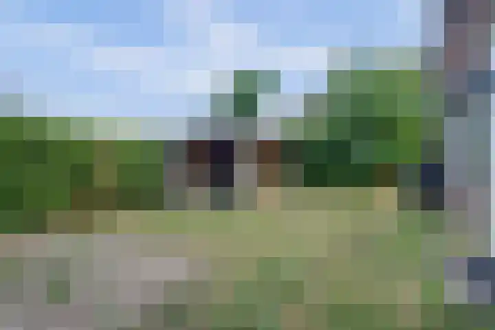 Graafseweg 94 Wijchen thumbnail 32