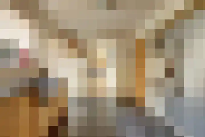 Graafseweg 94 Wijchen thumbnail 9