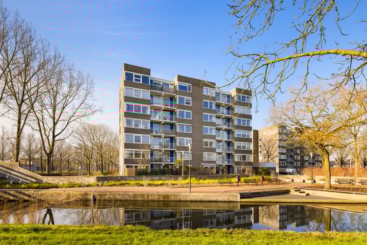 Graan voor Visch 16127 in Hoofddorp foto
