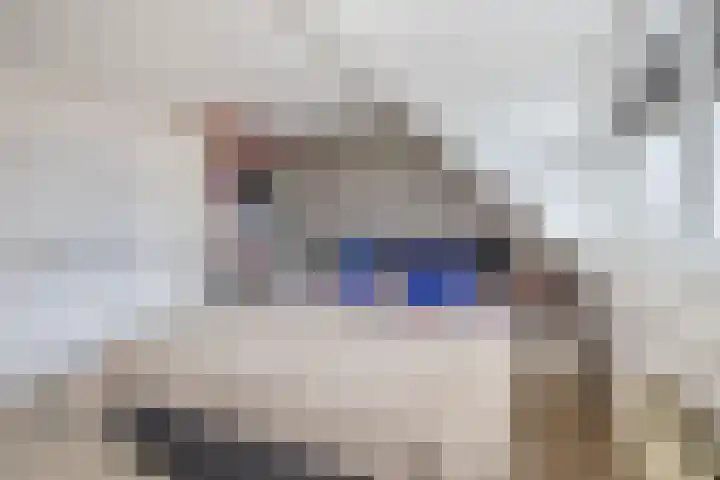 Graanakker 153 Waddinxveen thumbnail 26