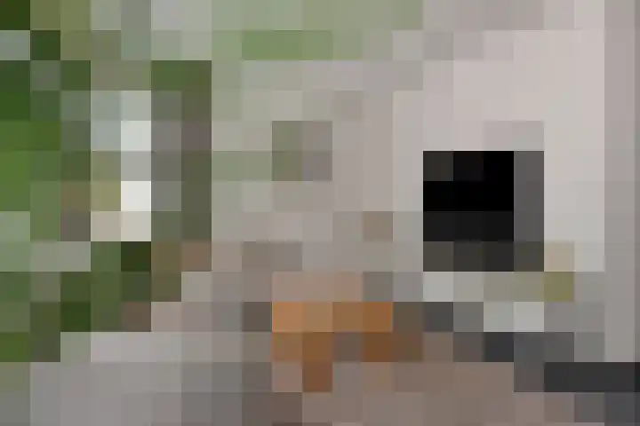 Graanakker 28 Heesch thumbnail 10