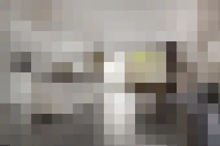 Graanakker 28 Heesch thumbnail 11