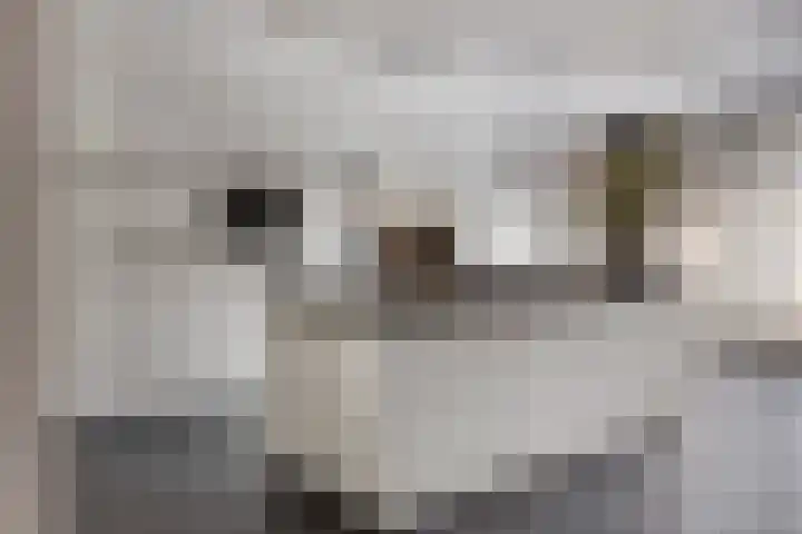 Graanakker 28 Heesch thumbnail 16