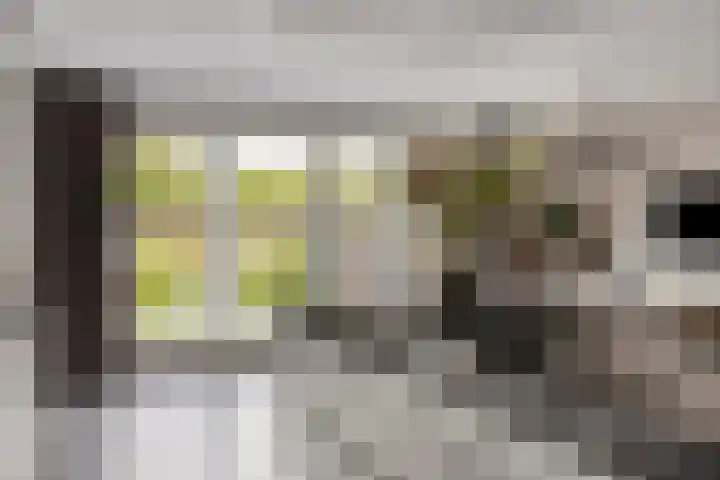 Graanakker 28 Heesch thumbnail 17