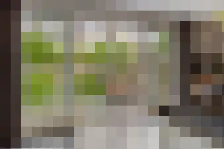 Graanakker 28 Heesch thumbnail 18