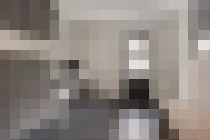 Graanakker 28 Heesch thumbnail 21