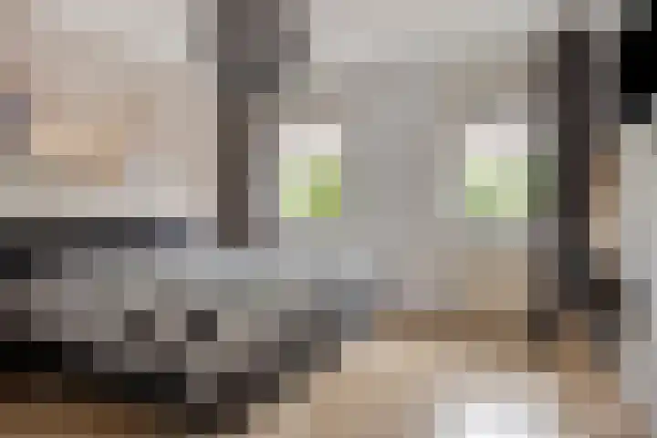 Graanakker 28 Heesch thumbnail 24