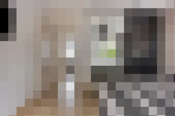 Graanakker 28 Heesch thumbnail 26