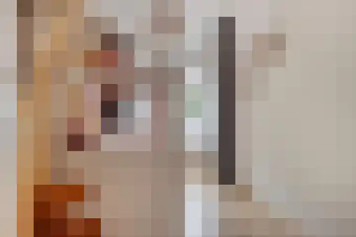 Graanakker 28 Heesch thumbnail 33