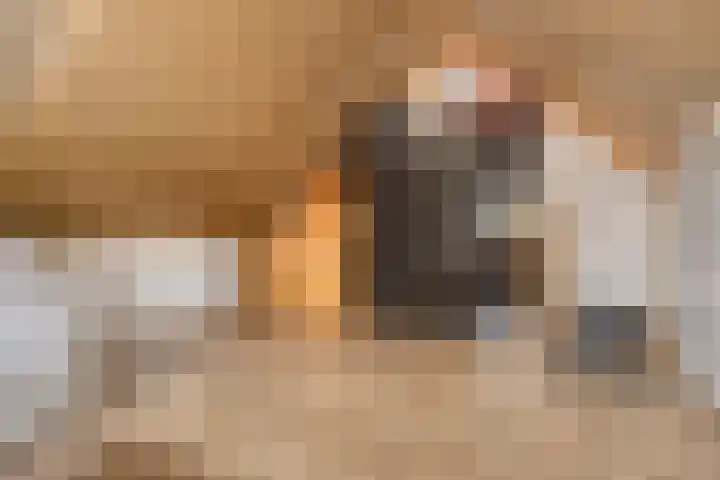 Graanakker 28 Heesch thumbnail 36