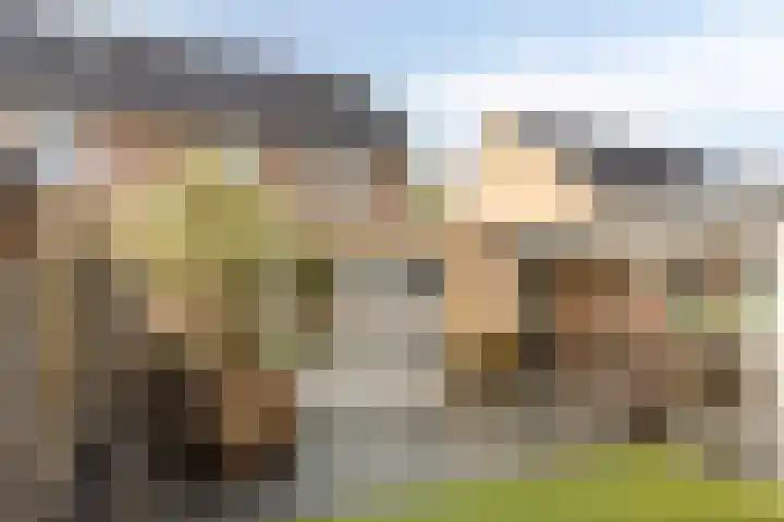 Graanakker 28 Heesch thumbnail 39