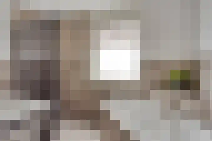 Graanakker 28 Heesch thumbnail 4