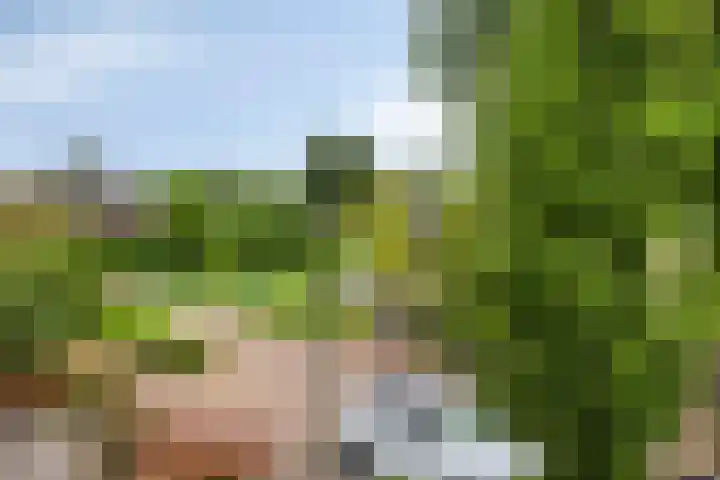 Graanakker 28 Heesch thumbnail 42