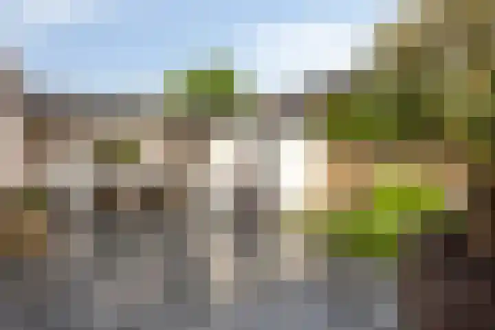 Graanakker 28 Heesch thumbnail 5