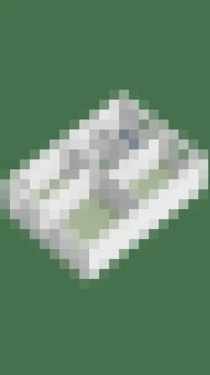 Graanakker 28 Heesch thumbnail 51