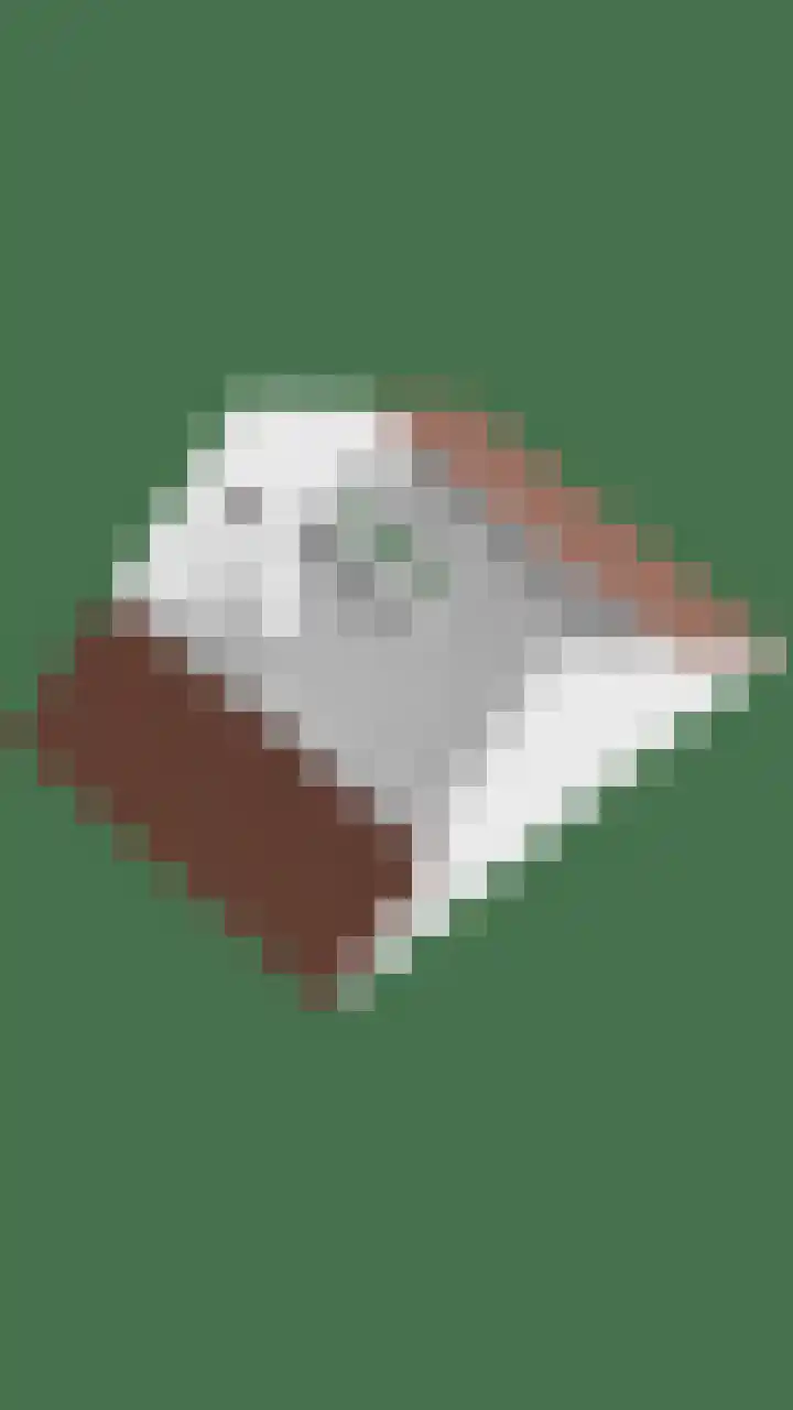 Graanakker 28 Heesch thumbnail 53