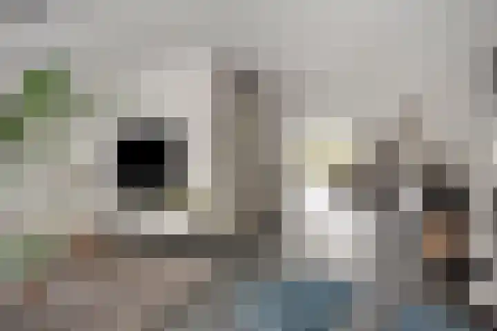 Graanakker 28 Heesch thumbnail 9