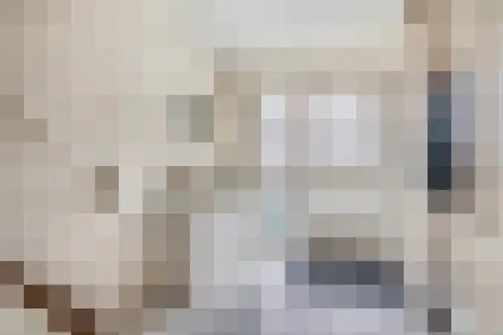 Graanakker 41 Waddinxveen thumbnail 11