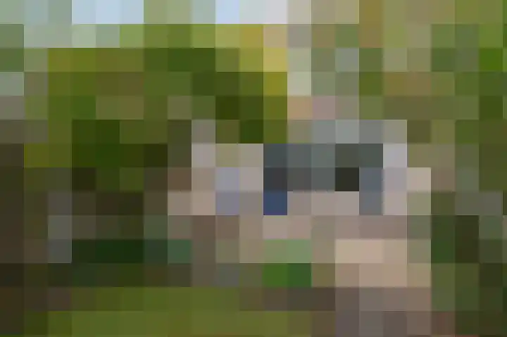 Graanakker 41 Waddinxveen thumbnail 18