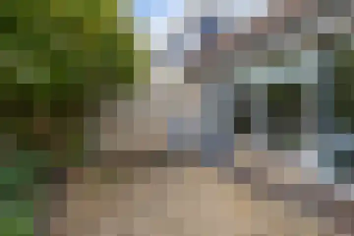 Graanakker 41 Waddinxveen thumbnail 19
