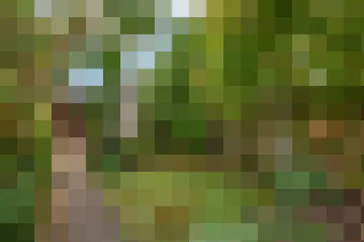 Graanakker 41 Waddinxveen thumbnail 20