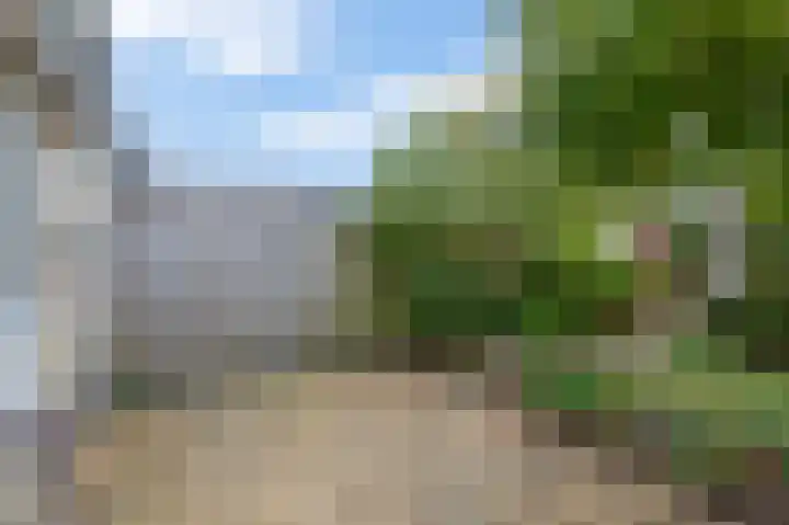 Graanakker 41 Waddinxveen thumbnail 21