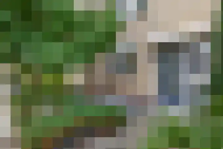 Graanakker 41 Waddinxveen thumbnail 23