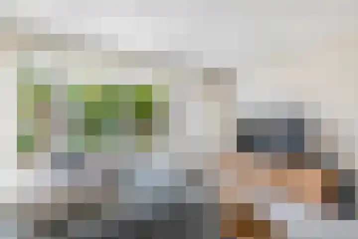 Graanakker 41 Waddinxveen thumbnail 5